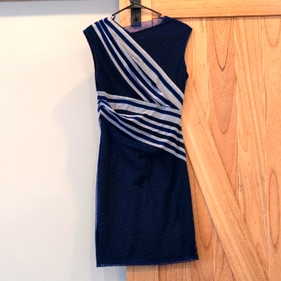 REISS Size 4 Dress as seen on GLEE - Picture 4 of 8